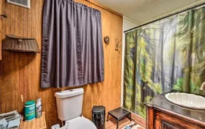 Skjult afsondret kabine i Blue Ridge Mountains i en meget privat indstilling - Image 3