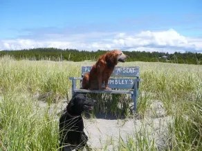 Rymlig Oceanfront hem med utsikt och tillgång till privat strand! - Image 3