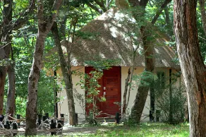 Gwango Elephant Lodge - Image 5