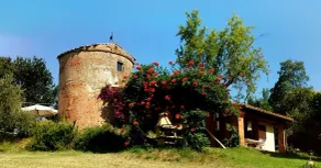Molino de viento un pequeño paraíso - Image 3