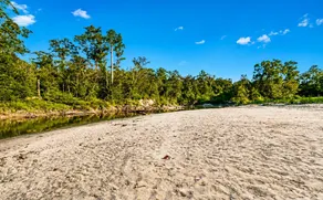 Creekside Cabin am Red Creek, nur wenige Schritte vom Wasser entfernt! - Image 4