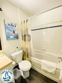 Blue Mountain Suites - Image 4