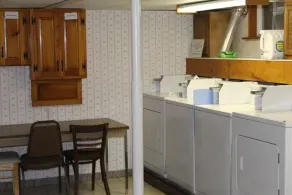 Team Elm (Entire Property) - Image 3