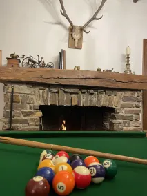 La Grange de Lesse, casa di carattere tra boschi e fiume - Image 2