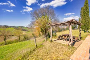 37 km. westlich von Siena entfernt liegt dieses kleine Landhaus, das erst kürzlich renoviert wurde u - Image 5
