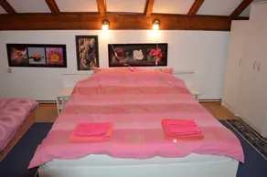 Accommodation apartment House \"Busije\" Pozarevac Serbia - Image 5
