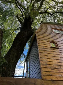 Cabane en Thiérache \"Dans un arbre perché\" - Image 2