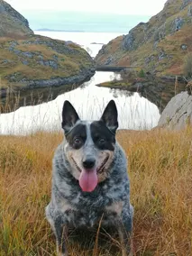 Lochshiel campingvogne 1 Acharacle - Image 2