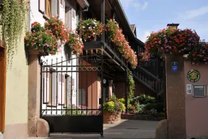 Apartment 2: Holiday apartment in a quiet private property - Image 3