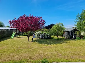 Hyggeligt sommerhus nær vandet - Image 2