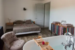 RENTAL OF A MAS WITH POOL IN A VINEYARD IN FIELD CAMARGUE - Image 3