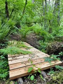 Beautiful county location - Image 2