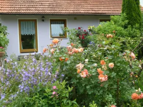 Living in nature at the Bavarian Forest National Park - Image 3