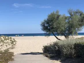 BARCARESA-LA PERLE VUE MER PIEDS DANS L'EAU CLIM WIFI - Image 4