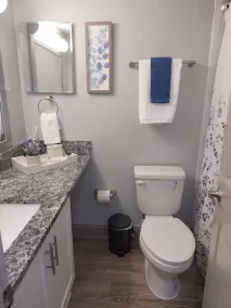 Lovely 2BR/2 BTH apt.  Few steps to theBraves Stadium - Image 5