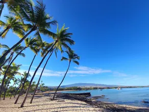 Big Island Kolea 11C by Coldwell Banker Island Vacations - Image 4