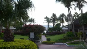 Studio - Westin St. John Coral Vista Villas - Full Resort Access - Image 3