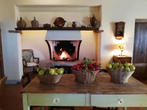 Agriturismo MONSOLE - Montalcino - Image 2