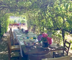 Studio King au bord de la piscine avec entrée privée dans le vignoble - Image 5