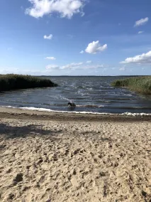 Insel Usedom Stolpe am Kleinen Haff. Komfortable Maisonettewohnung - Image 5