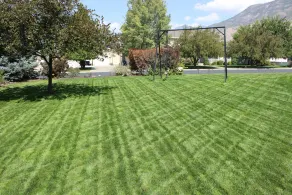 Family friendly home close to ski resorts, mountains, lakes, BYU, and UVU - Image 2