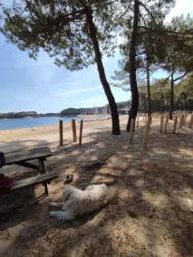Petite Maison Près du Lac, des Plages et de la Foret - Image 4
