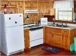 Bear Necessity Log Cabin - - Image 5