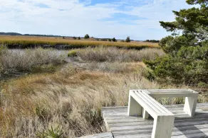 Family friendly home w/  360 views of the bay and wild life preserve - Image 2