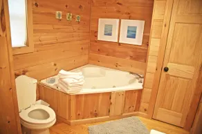 Clemson Football- Lake Hartwell Lakefront Cabin Private Dock 4 BR - Image 3