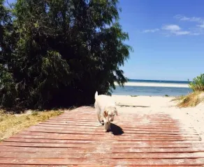 Panoramic Bay Views - Pet friendly & only a  5 minute stroll to town - Image 2