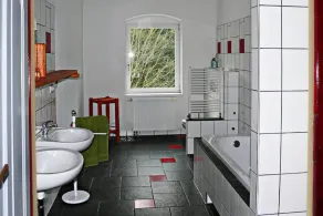 Villa Rotschoenberg im Tal der Freiberger Mulde - Image 3