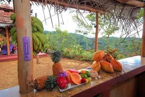 Kurulu Estate - Image 5