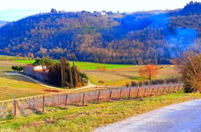 Villa Salivolpe Amazing Chianti View - Image 1
