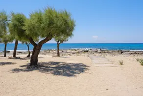 Donasand_torre san giovanni - Image 4