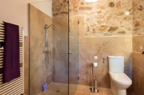 Ayurvila Wellness Retreat - Image 2