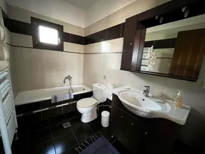 Stone Villa Rokosini - Image 2