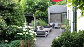 Ruime Villa met Grote Tuin aan de Voet van de Schoorlse Duinen - Image 5