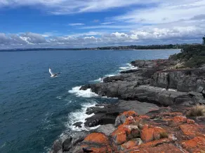 Have a Tasmanian adventure—beautiful scenery/plenty of room options - Image 4