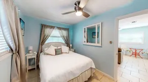 The Dolphin - Image 4