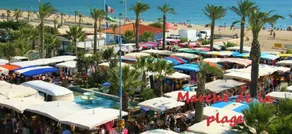 Studiohytte med pool Saint Cyprien Plage Les Capellans 4 personer - Image 4