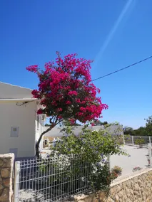 Casa al piano terra a 10 km da Faro - Image 5