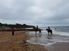Kæledyrsvenlig lodge af høj kvalitet, godt placeret til at udforske alle hjørner af Devon - Image 3