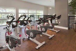 Entire Apartment in Coral Gables - Image 3