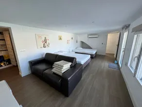 Superb, recently renovated detached villa - Image 4