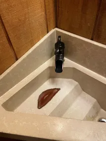 Romantic Get-away Cabin in the woods, w/Hottub next to coolest small town in USA - Image 3