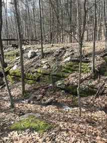 Woodstock Artist's Retreat - Image 4