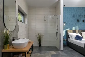 Villa Line (Istria - Svetvinčenat) - Image 4
