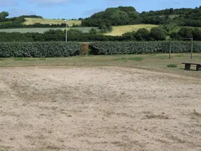 Cozy cottage near the beach, wifi, pets allowed - Image 3