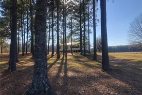 40 Acres 4 Bedroom  4 full bathroom Home with a Pond stocked with Fish & RV Port - Image 3