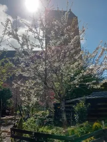 B&B De Zwerver - Image 4